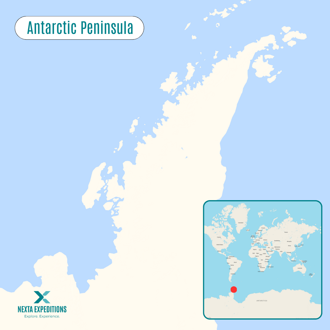 Antarctic Peninsula - maps - Nexta Expeditions